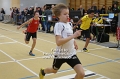 5028 halle_obb